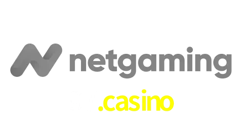 NetGaming